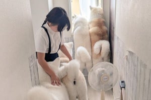 【通して～! 犬渋滞中】次女ちゃんに群がるワンコたち「渋滞に呑まれたい」「なでなでの行列」