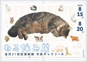 スター猫が一堂に会する“猫の祭典”「ねこ休み展」が2年ぶりに金沢へ! 200点以上の猫作品が登場