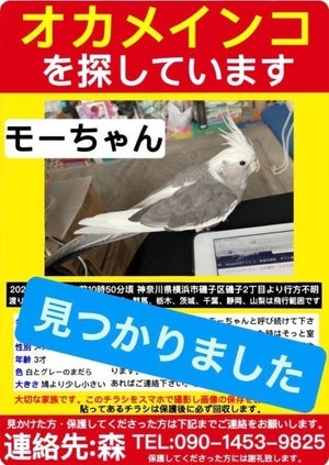 【優しい世界】迷子のオカメインコと11カ月ぶりに再会! 喜ぶ飼い主さんにさらなる感動の出来事が -「なんか泣いちゃった」「こんなに愛が溢れたポスター見たことない」