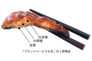 日清食品、うなぎの蒲焼を再現した「謎うなぎ」発売へ - ネット「謎肉に続き謎鰻」「正直食べたい」