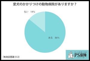 犬の飼い主512人に聞いた! 「愛犬の健康診断」を初めて受けた年齢は?