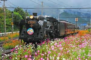 秩父鉄道「SLガリガリ君エクスプレス」2023年夏は9日間の運行予定