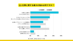 20代若手技術者の抱える悩み、最多は「スキル不足」 - 30代は?