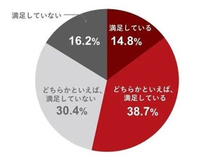 年収750万円以上のビジネスパーソンの約半数が現在の年収に満足していない!?