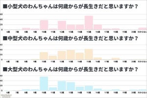 犬の飼い主に聞いた! 「長生き」すると思う犬種、1位は?