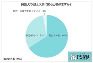 「保護犬」の迎え入れに関心がある人は66% - 最も不安に感じることは?