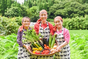 熊本県南小国町のふるさと納税返礼品・豊かな大地を味わう! 「夏の味覚」6選