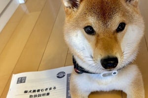 【柴犬のトリセツ】愛犬を両親に預けるために作成! 「愛が溢れてる」「クオリティー高い! 」