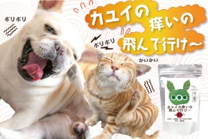 犬・猫用の完全無添加サプリ「カユイの痒いの飛んで行け」発売 - アレルギー、湿疹、発疹の悩みをサポート