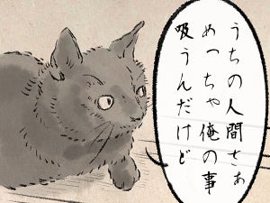 【猫吸い】吸われる猫ちゃんの「なんで?」にSNS大盛り上がり!「これでしか摂取できない成分がある」「必須栄養素」「心が安らぐのじゃよ」