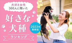 【犬好き女性300人に聞いた】好きな犬種ランキング、1位は? 2位「トイプードル」