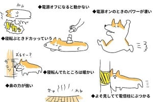 【コーギーの講義】コーギーを初めて飼って知ったこと「ロケットみたいに飛ぶ」「わかりみがすごい…」