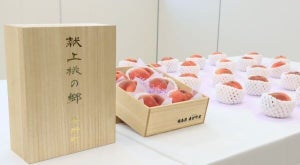 福島県桑折町のふるさと納税「献上桃の郷 桑折町の特別返礼品『雅』」とは? 