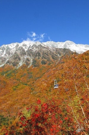 【最強すぎる…】まだ秋は終わってない! 立山黒部の紅葉が「なんと美しい…」「立山の紅葉 最強すぎる...」「すげ〜、見てみたいな〜」と話題