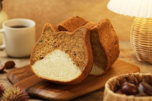 人気の"はちわれ"模様が登場! 「ねこねこ食パン はちわれマロン」新発売