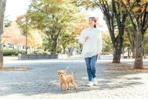 「都心の高級マンションに住む愛犬家」に人気のエリア、1位は? - 2位勝どき、3位南麻布