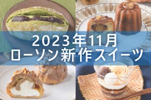 【11月5日更新!】ローソン「今月の新作スイーツ」5商品まとめてご紹介!