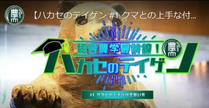 【注意喚起】クマによる被害が急増! 東農大が「クマとの上手な付き合い方」を動画で提言