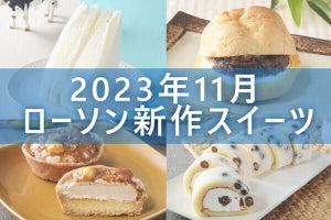 【11月21日更新!】ローソン「今月の新作スイーツ」5商品まとめてご紹介!