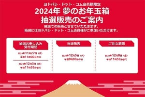 ヨドバシ「夢のお年玉箱」、抽選受付を11月27日から開始