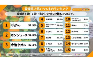 「愛媛県」で思いつくもの1位は? - 「じゃこ天」「道後温泉」なども上位に