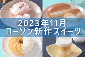 【11月28日更新!】ローソン「今月の新作スイーツ」5商品まとめてご紹介!