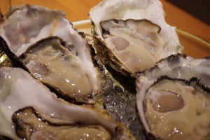 横浜OysterLabがエキニア横浜B1でオイスターバーを金・土の夜限定オープン