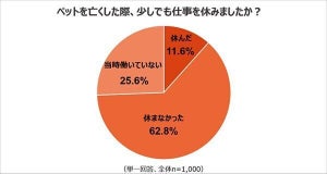 【1,000人に聞いた】ペットを亡くした際、仕事を休んだ人はどれくらい?