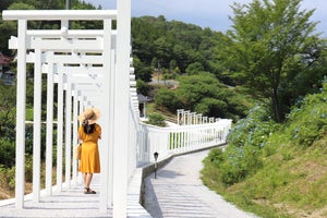 【まさに天界!?】たくさんの“白鳥居”がずらりと並ぶ…岡山の寺の風景が「これは壮観」「めっちゃ素敵」と話題に