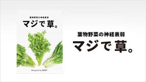 【なにこれ!?】葉物野菜の神経衰弱ゲーム「マジで草。」が話題 - 「草」「思ってたよりも似てるw これは難しいw」