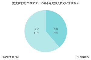 「愛犬におむつ・マナーベルト」飼い主の4割が装着 - 理由は?