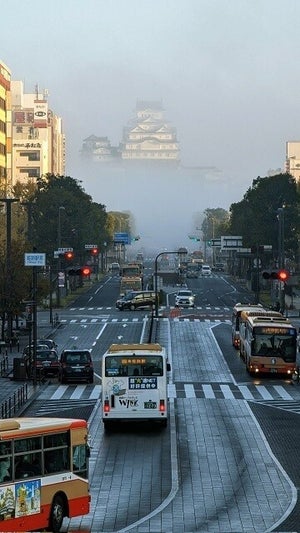 【幻のお城!?】霧に包まれた姫路城。その幻想的な光景に「天空の姫路城だ…」「リアルファンタジー」「突如として現れた異世界感」と17万いいね集まる!