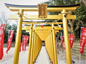 「ほしいも神社」で欲しいものが手に入る？　地元の農家にも“ご利益”の地域の盛り上げ方