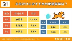 【愛犬家に聞いた】冬のお出かけにおすすめの都道府県、1位は?