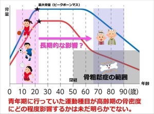 青年期にバスケやバレーをすると高齢期の「骨密度」が高くなる!? -順大が研究結果発表