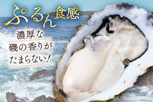 宮城県気仙沼市ふるさと納税返礼品「大粒! 殻付き牡蠣」2選