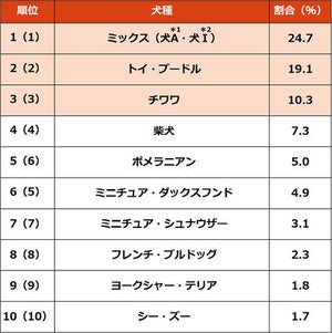 人気飼育犬種トップ3、「ミックス」「トイ・プードル」あと1つは?