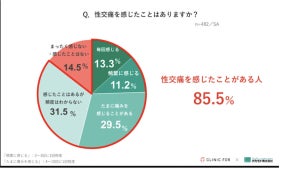 女性の8割超、「性交痛」を感じた経験あり - その理由、2位「十分に興奮できていない」、1位は?