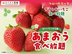 スイパラ「あまおう」食べ放題を開催! - いちごを贅沢に使用した期間限定スイーツも!!