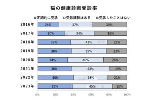 猫に定期的健康診断を受けさせる飼い主は4割弱、受診項目は?