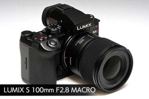 【ミニレビュー】中望遠マクロ「LUMIX S 100mm F2.8 MACRO」　小さくても手抜きなしの佳作