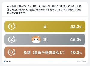 飼っている・飼いたいペットTOP3、「犬」「猫」あと1つは?