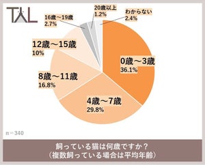 猫にまつわるお金のアレコレを大調査! 猫の食費に10万かける飼い主も!?