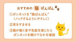 猫がクルマに入り込んだトラブル、1カ月間で24件 - JAFが「猫ばんばん」のやり方を呼びかけ