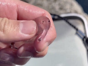 【深海生物】“ゾウクラゲ”の顔がゾウすぎると話題に!! 「超好きな顔」「鼻が動いてるみたい」「キャラクターすぎ」