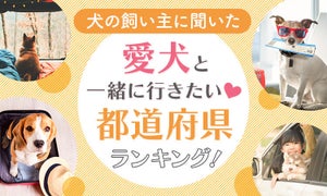 愛犬と一緒に行きたい都道府県TOP3、「北海道」「沖縄」あと1つは?