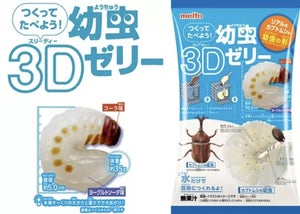 【ひぇっ】リアルなカブトムシの幼虫型ゼリー『つくってたべよう! 幼虫3Dゼリー』登場 - 「すごい遊び心」「かなりリアルだなぁ」「なんてものを」と話題に