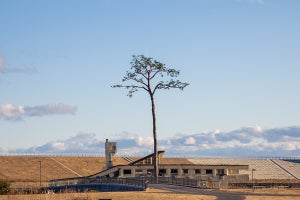 陸前高田市とNTT東日本の二人三脚で開発した防災・減災対策システム - 「シン・オートコール」はいかに開発されたか