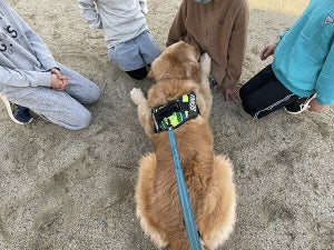 【え、そっち!?】愛犬に「おすわり」と言ったところ…そこにいた子ども達の行動に「登場人物全員かわいい」「優しい世界」と大反響!