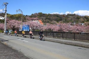 自転車で小田原ぶらり旅! 鈴廣かまぼこの里〜漁港の駅〜御幸の浜〜小田原城を巡ってきた